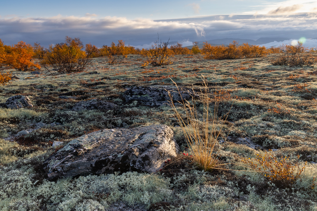 Rondane Nationalpark