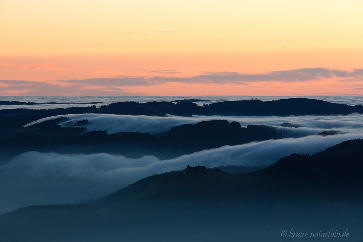 Morgens am Schauinsland