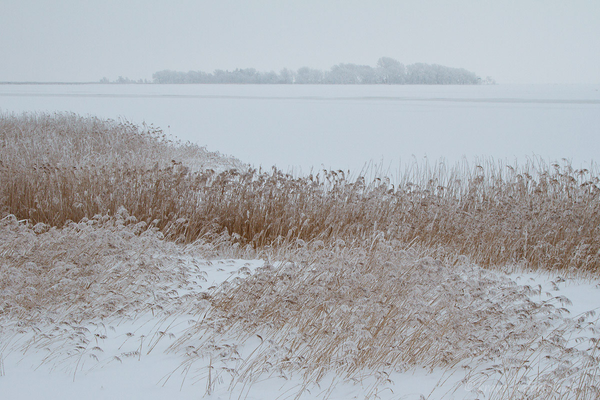 Am Bodden bei Zingst