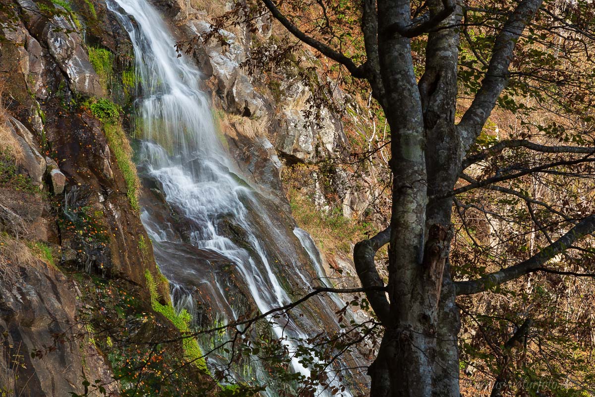 Todtnauer Wasserfall