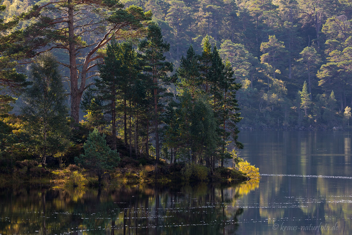 Glenn Affric