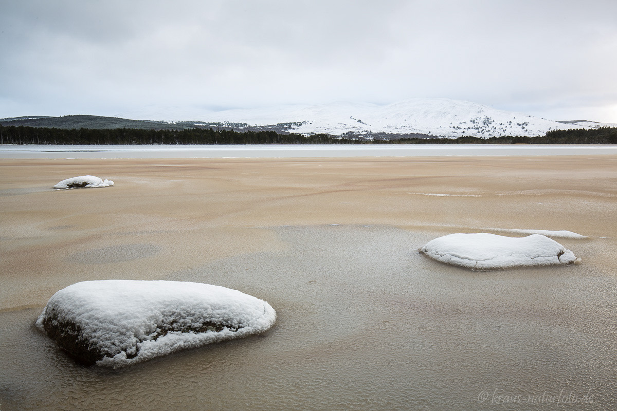 Loch Garten