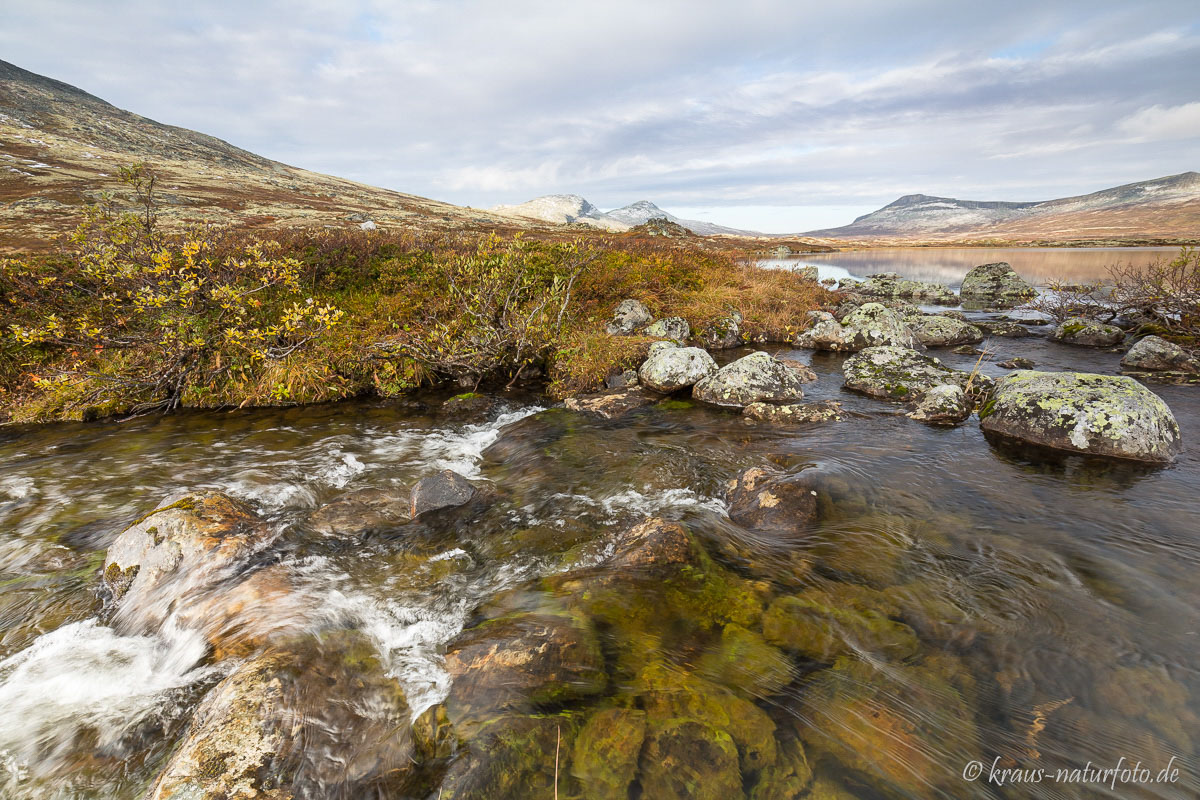 Rondane