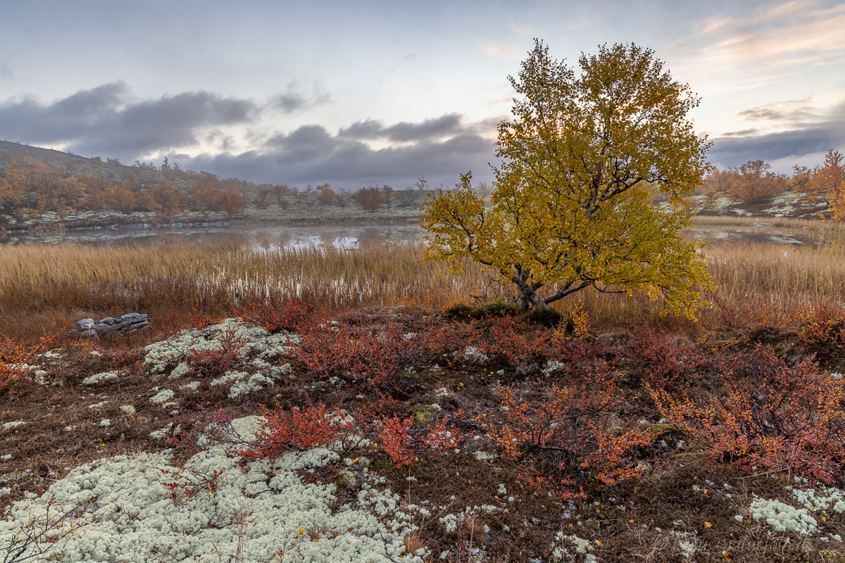 Rondane Nationalpark