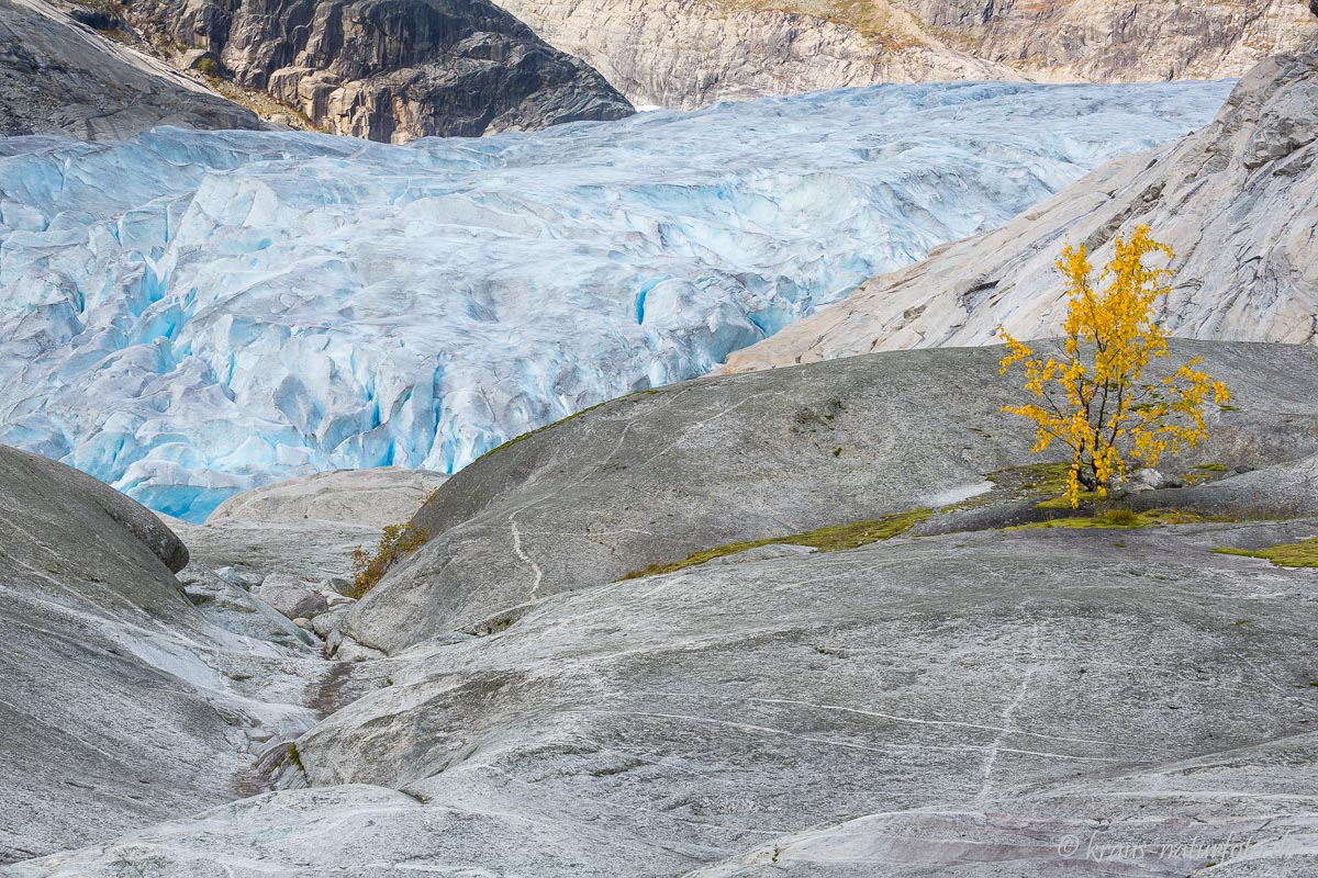 Nigardsbreen