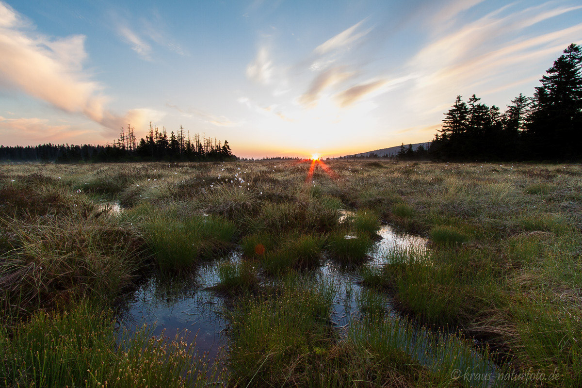 Sonnenaufgang im Großen Torfhausmoor