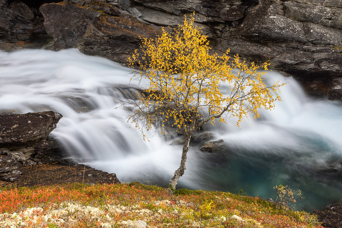 Reinheimen Nationalpark