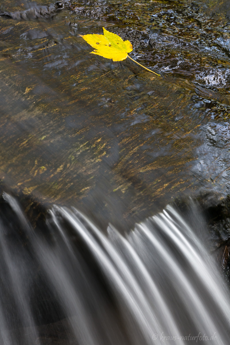 am Todtnauer Wasserfall