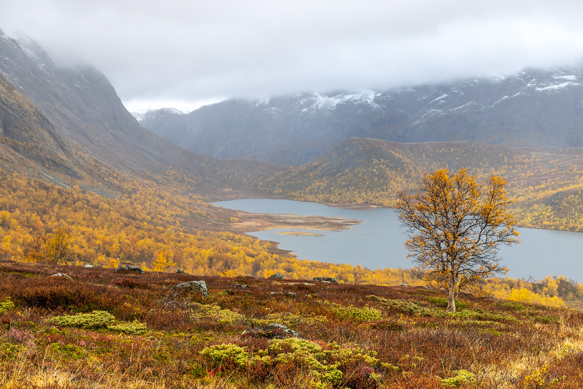 Jotunheimen