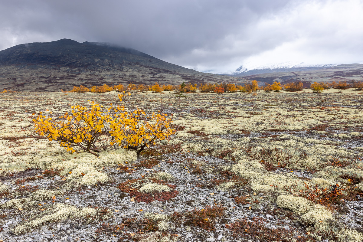 Rondane Nationalpark