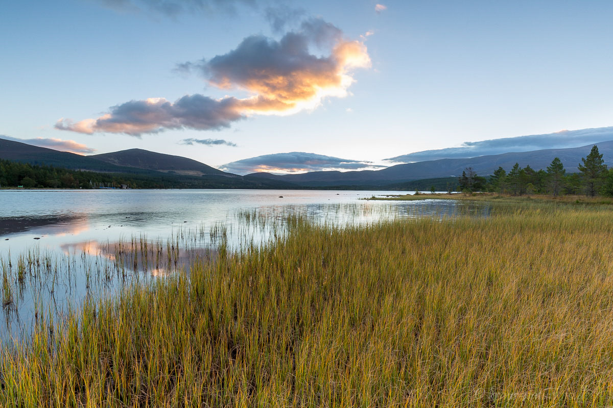 Loch Morlich