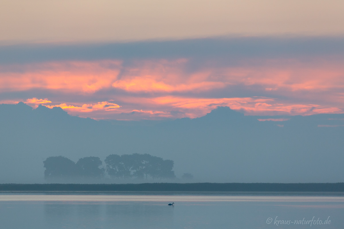 Sonnenaufgang über dem Bodden