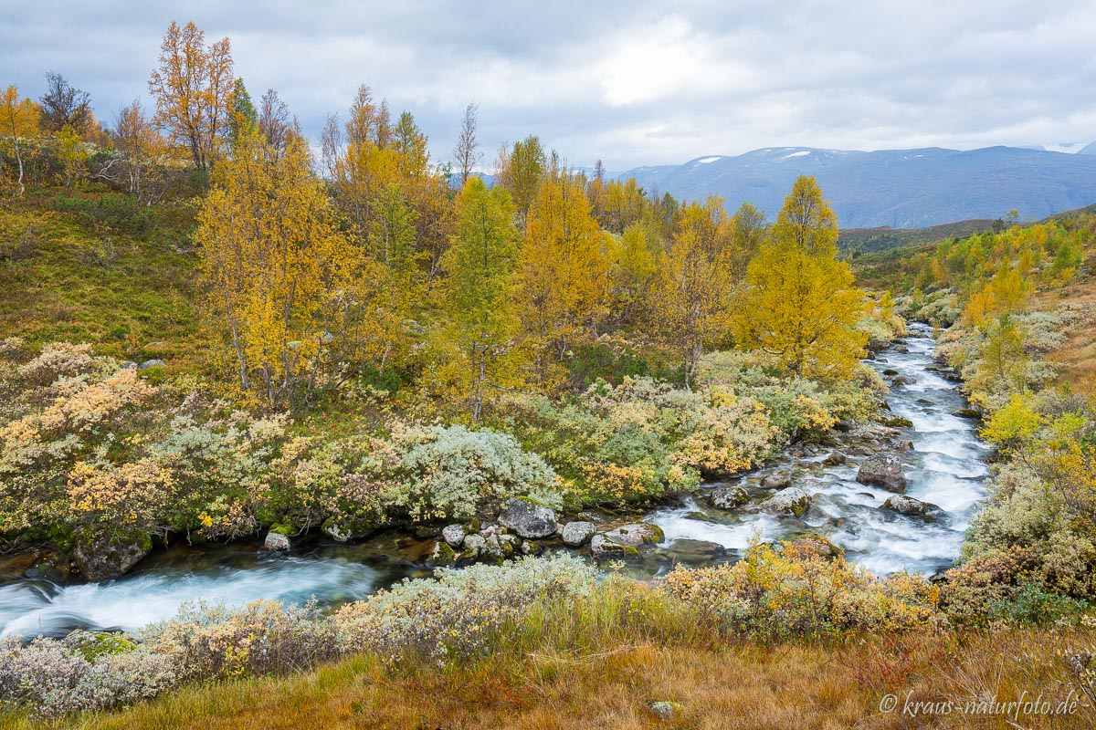 Fluss Øyna am Bjørgavegen