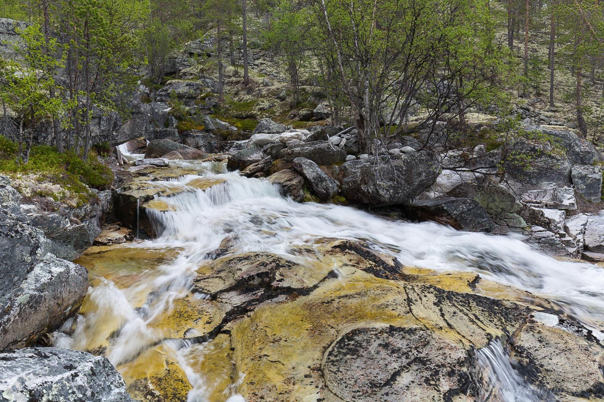 Hørsa, Rondane