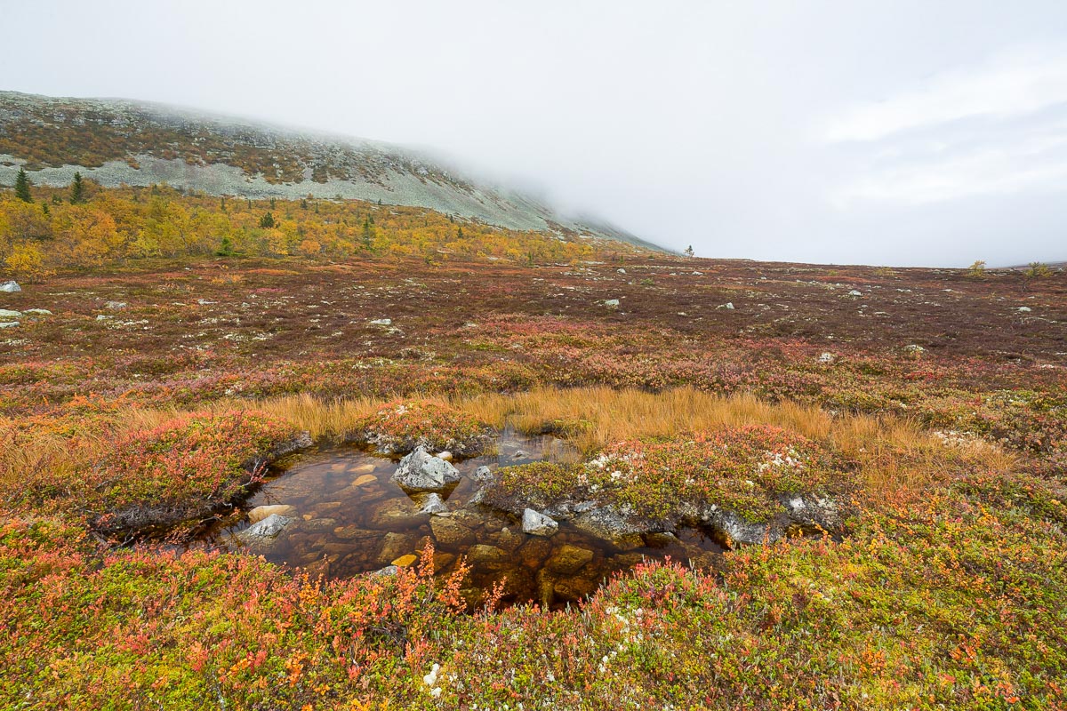 Herbst am Idre Fjell