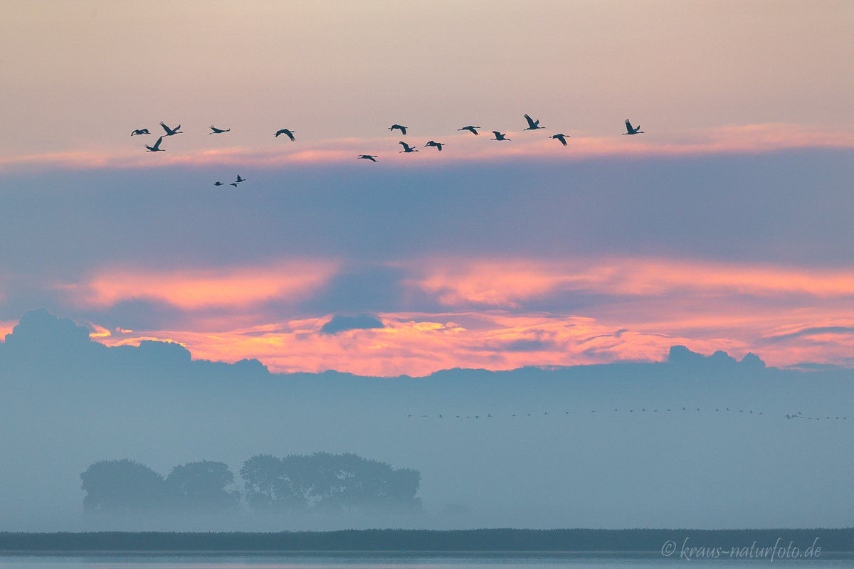 Sonnenaufgang über dem Bodden