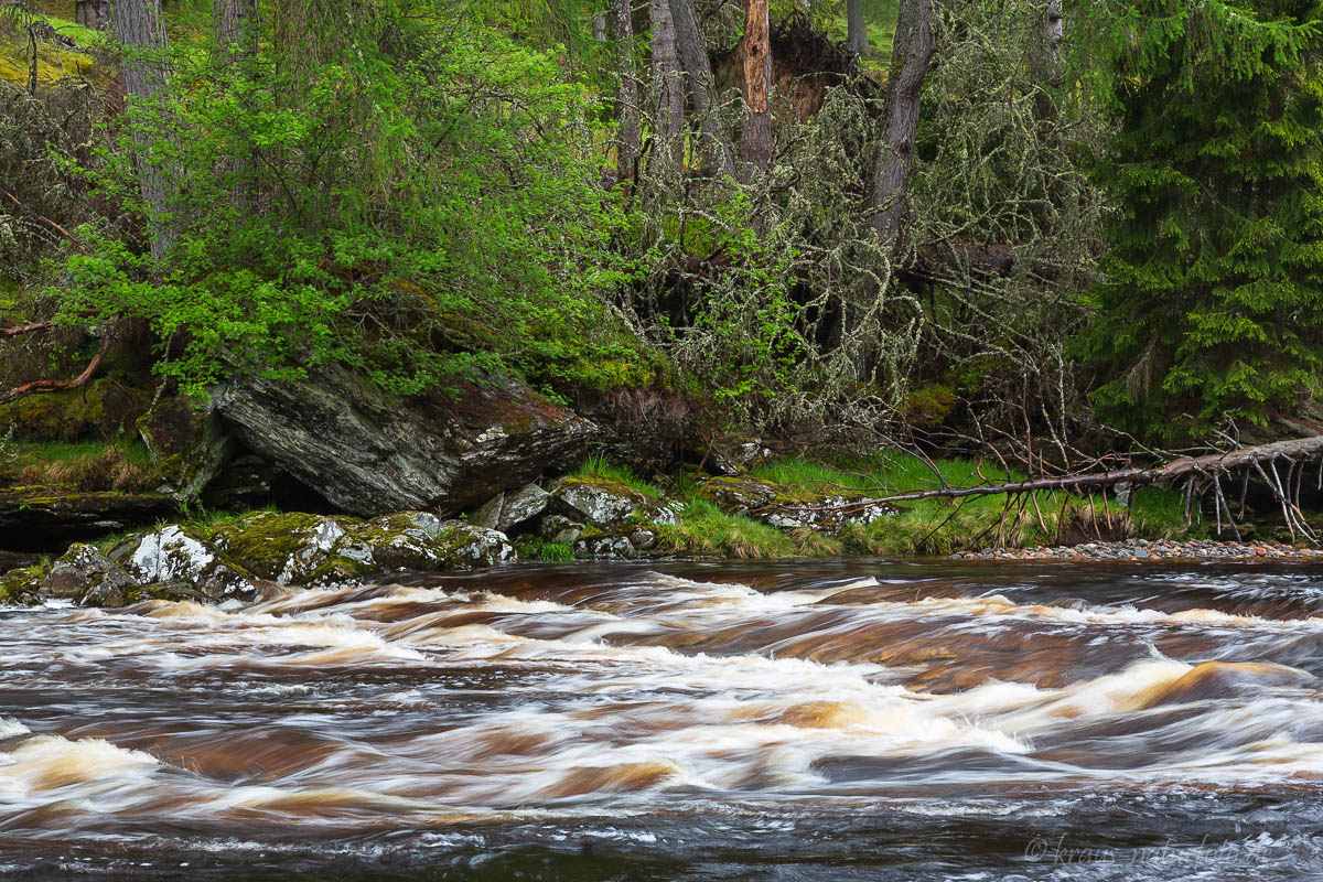 River Dee