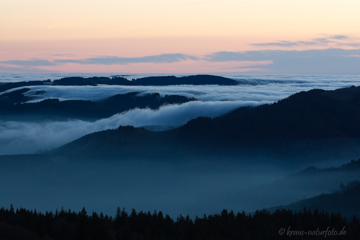 Morgens am Schauinsland