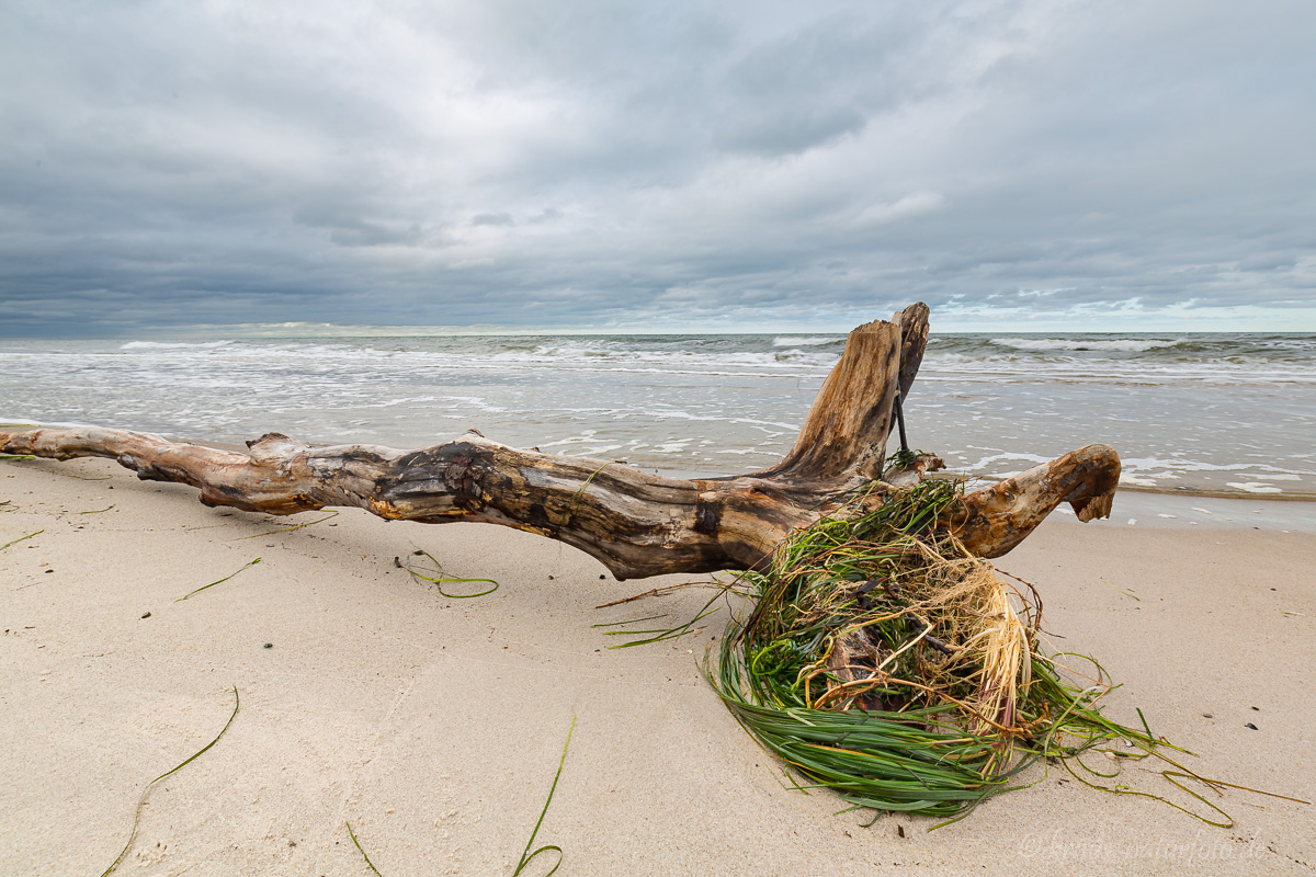 Am Weststrand