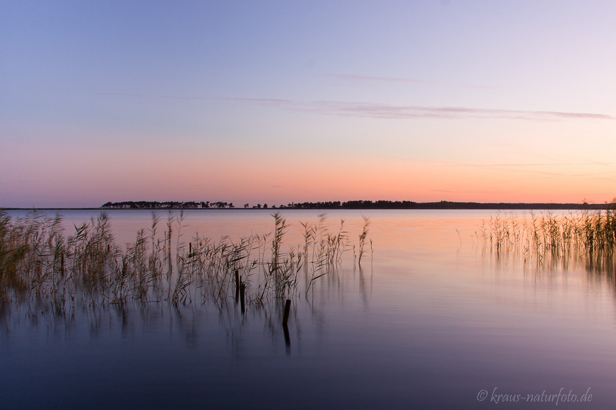 Bodden zu Sonnenaufgang