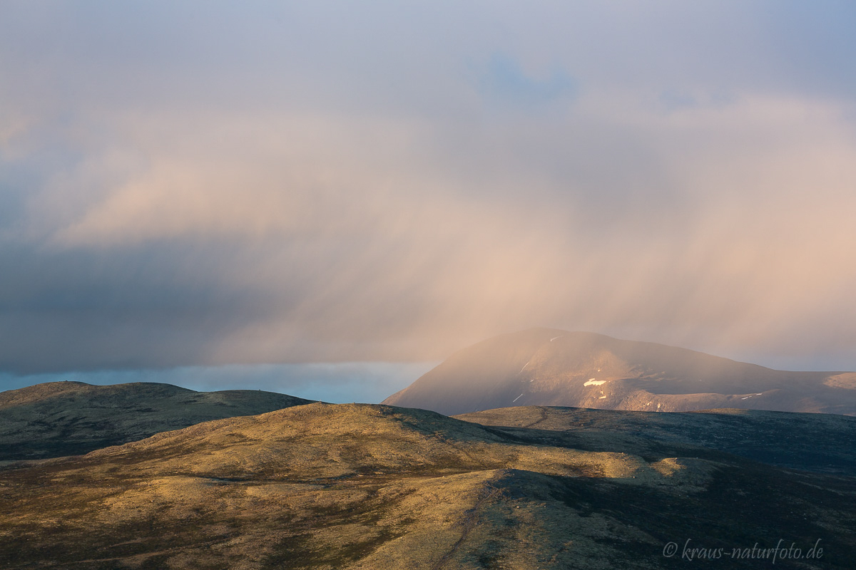 Regenwolken über dem Dovrefjell