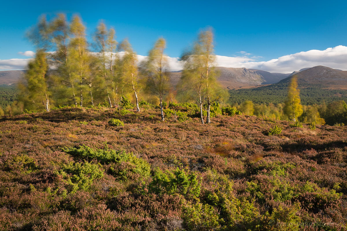 stürmischer Herbtstag in den Cairngorm Mountains