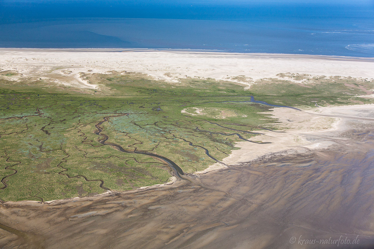 Wattenmeer Luftaufnahme, Norderney