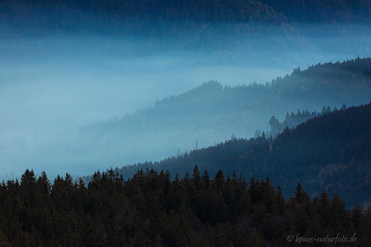 Morgens am Schauinsland