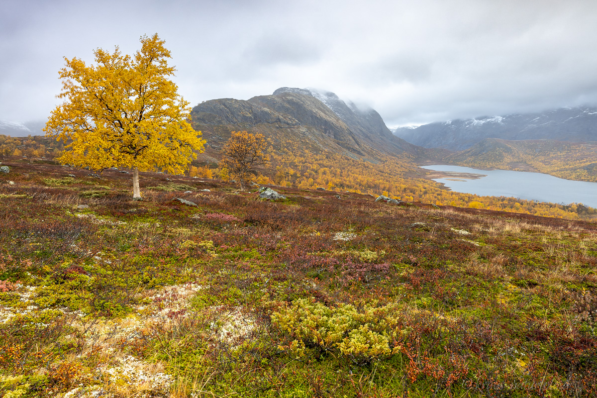 Jotunheimen