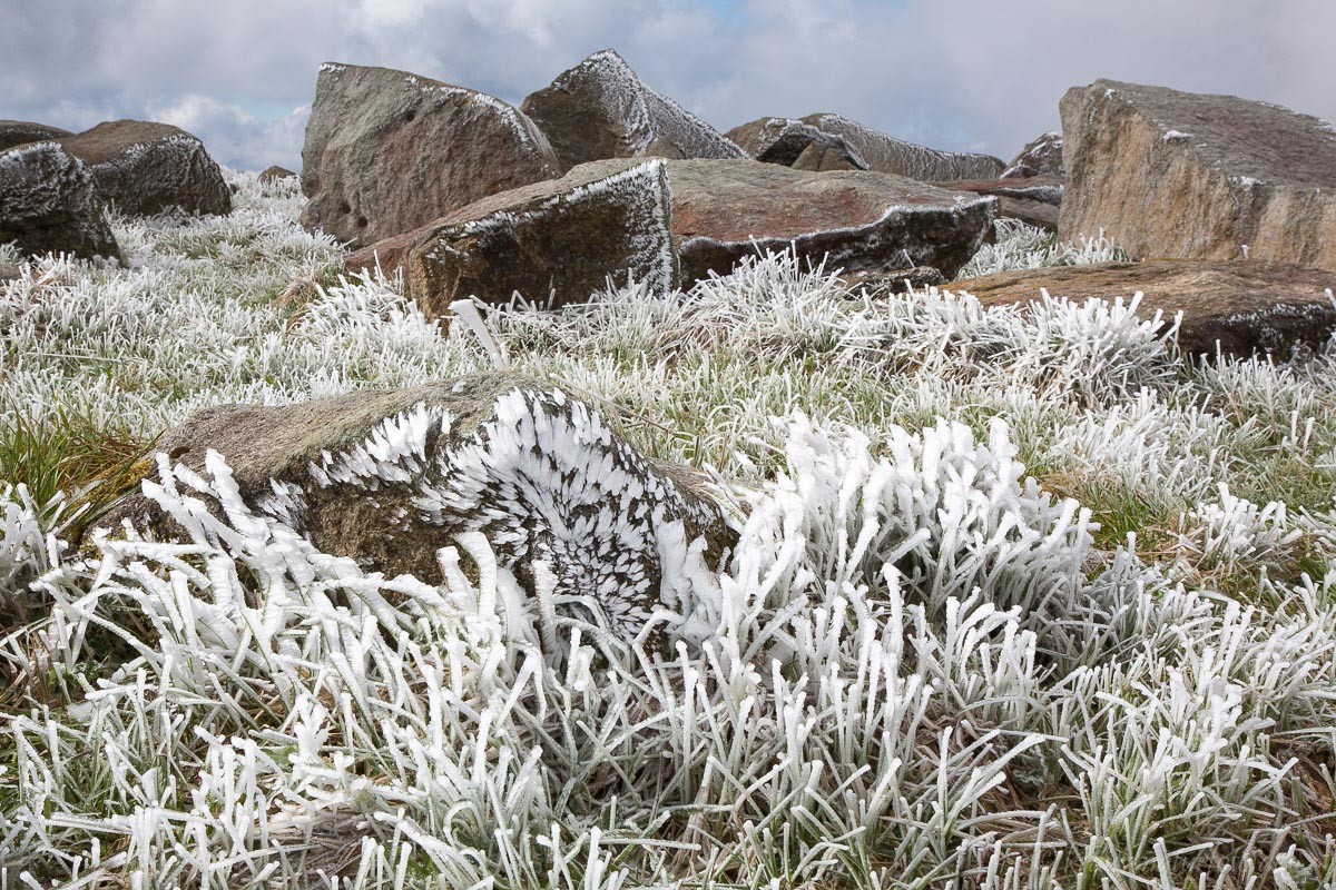 auf dem Brocken