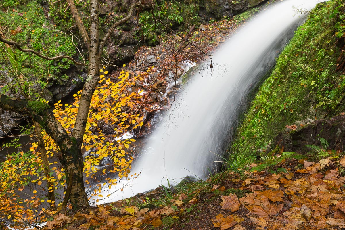 Ravennaschlucht