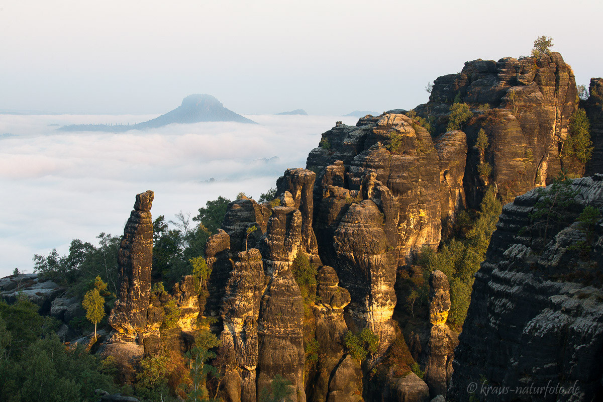 Blick auf die Schrammsteine, im Hintergrund der Lilienstein