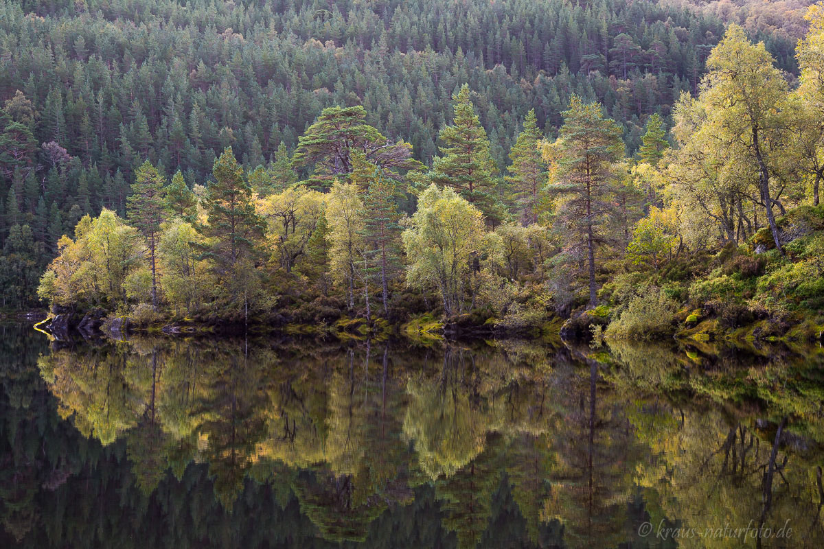 Glenn Affric