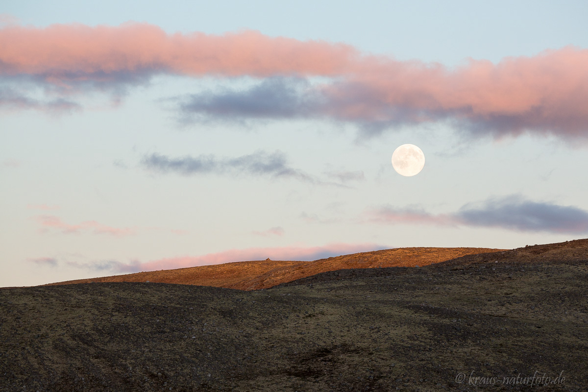 "Mondlandschaft", Vollmond zu Sonnenuntergang am Dovrefjell