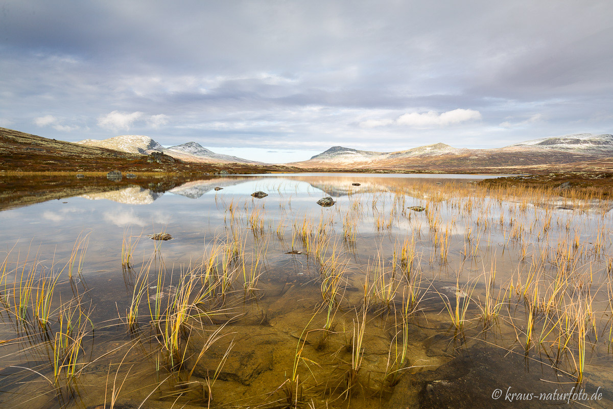 Rondane