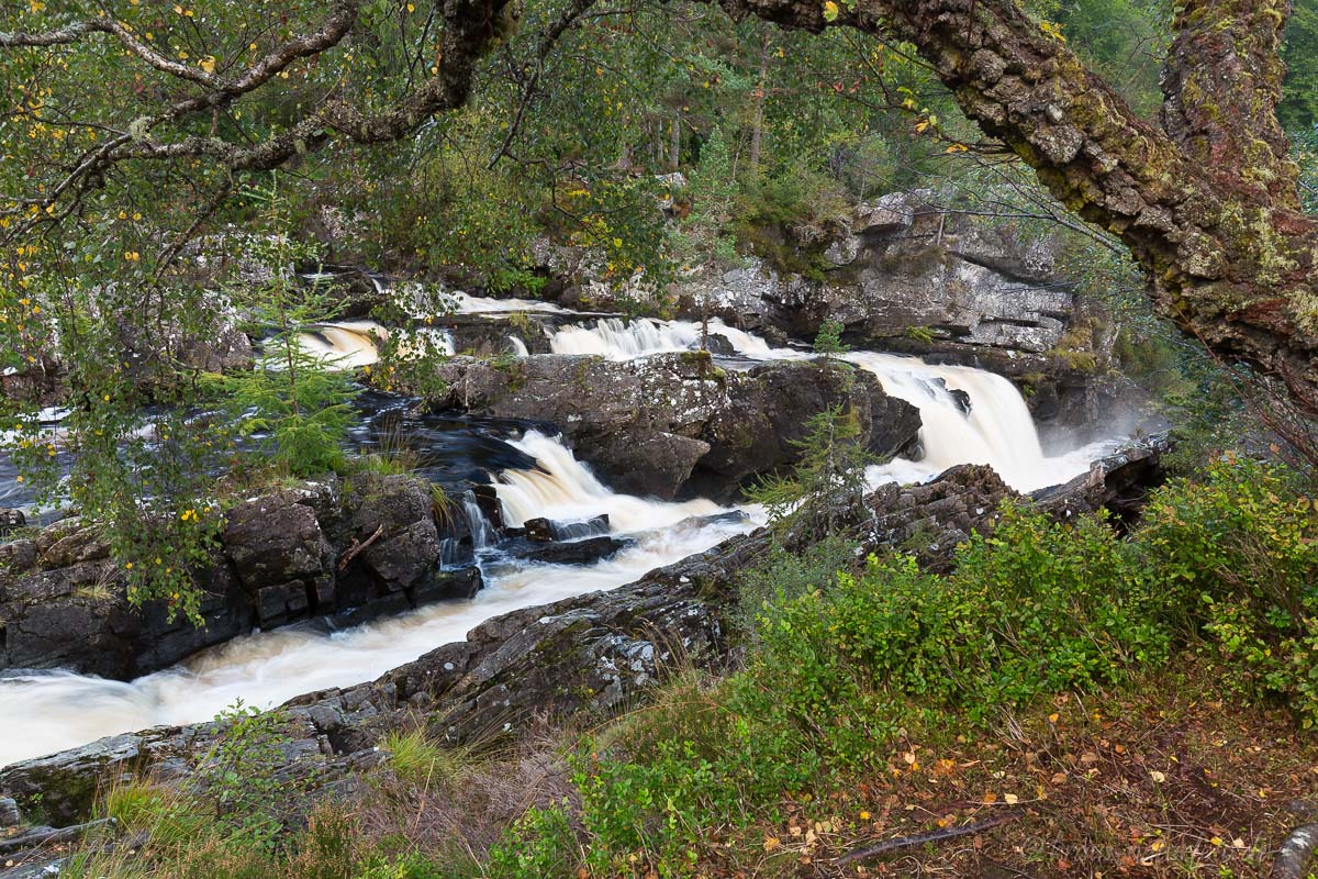 Rogie Falls