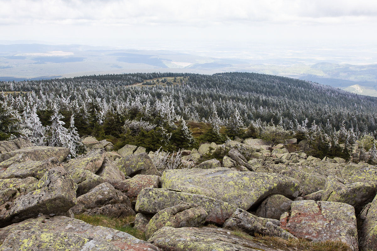 auf dem Brocken