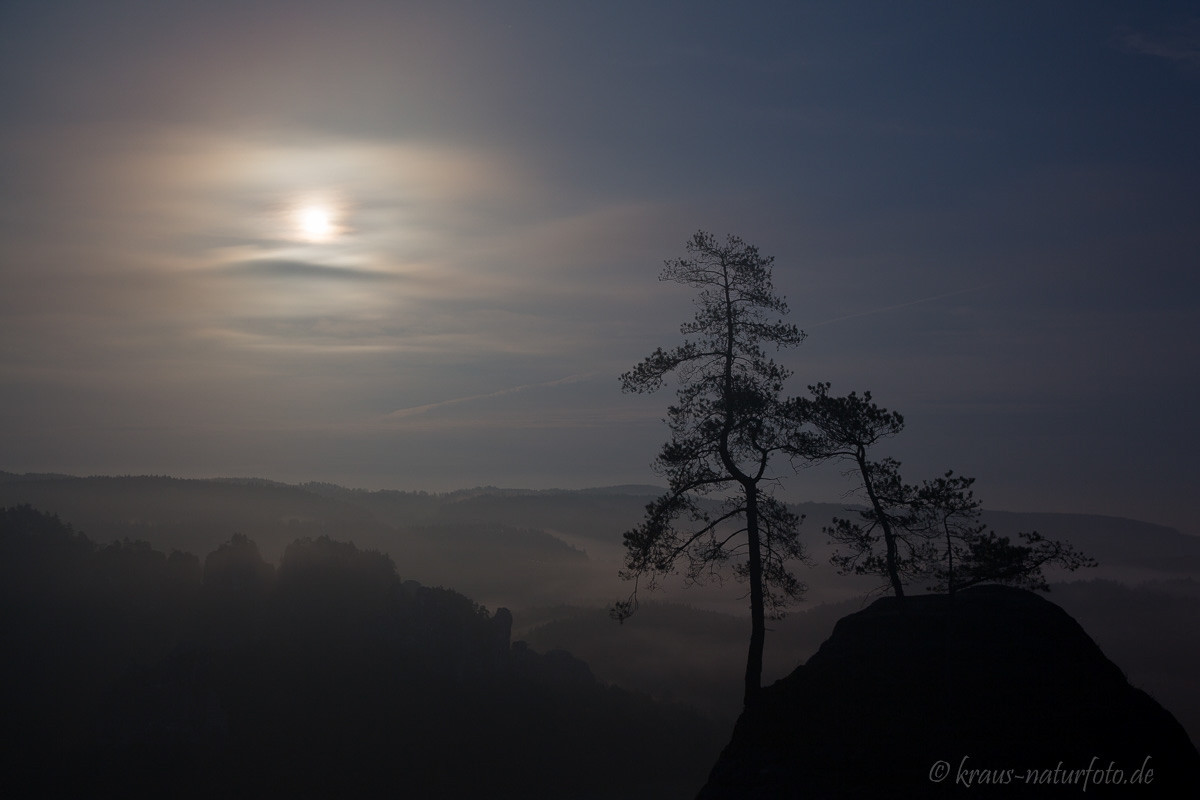 Mondschein auf der Bastei