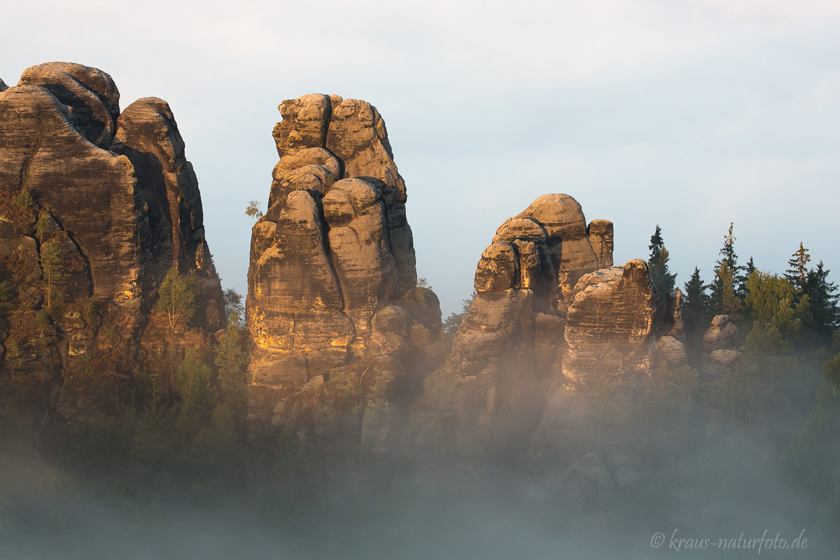 Detail der Schrammsteine bei Sonnenaufgang