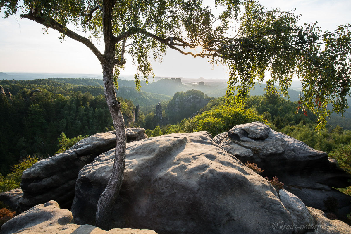 Blick vom Carolafelse, in der Bildmitte der große Dom, im Hintergrund die Schrammsteine, der Falkenstein und der Lilienstein