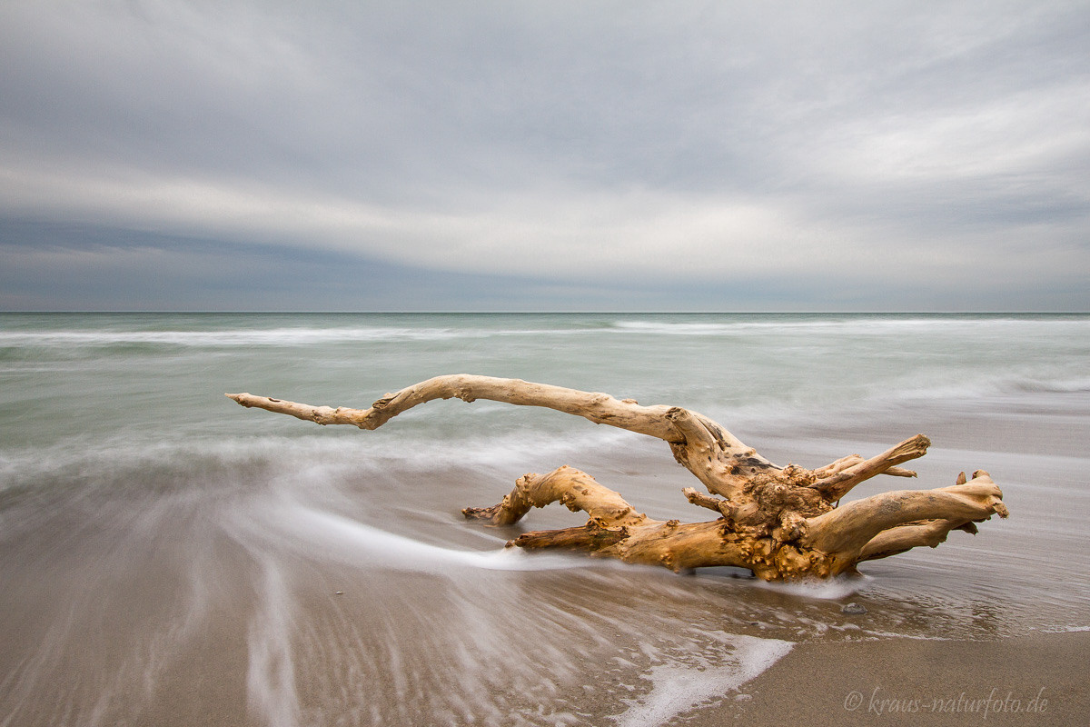 Strandgut