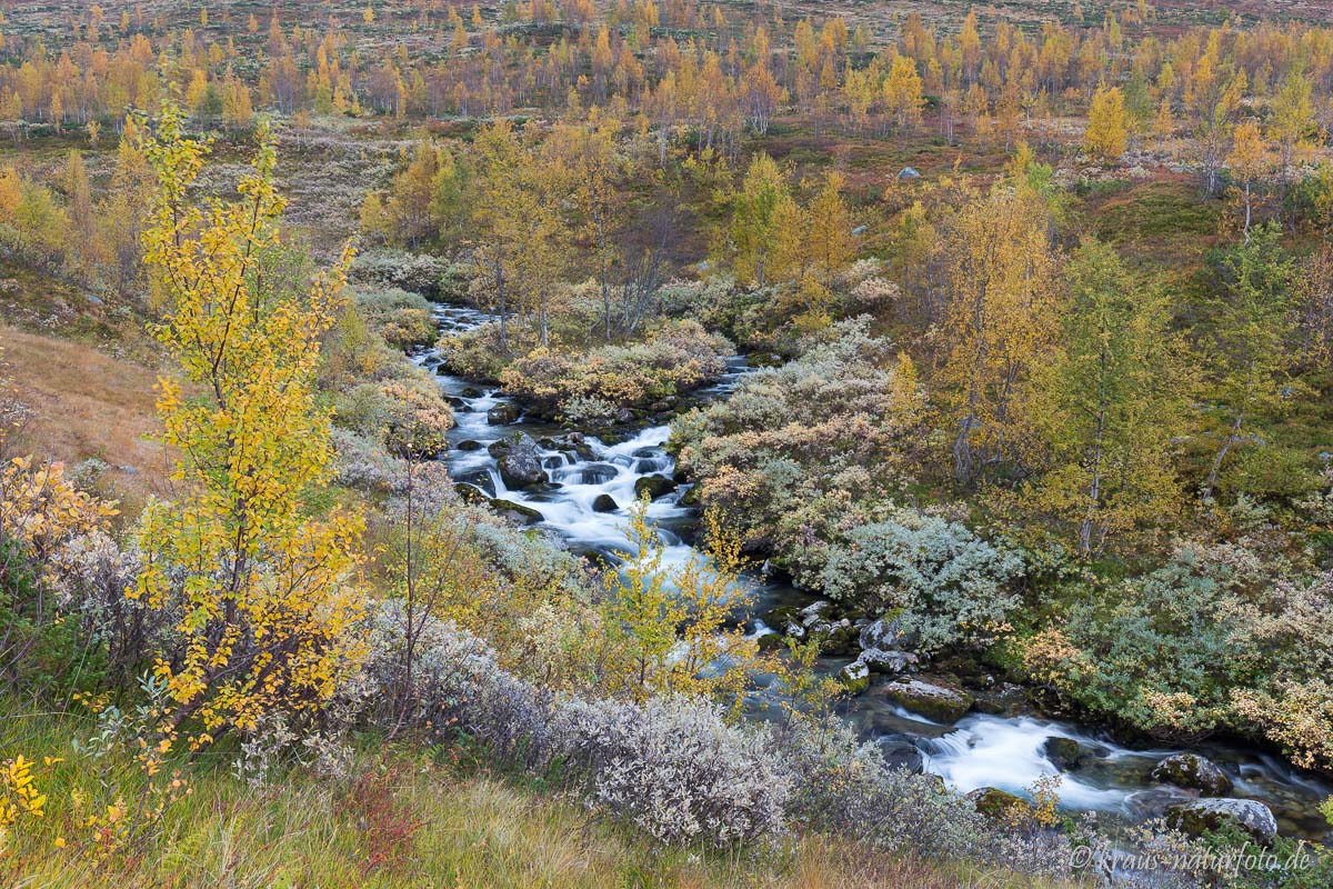 Fluss Øyna am Bjørgavegen