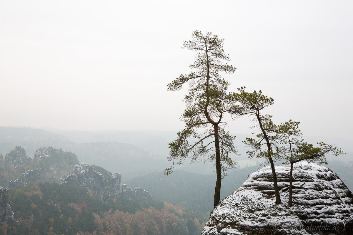 erster Schnee auf der Bastei