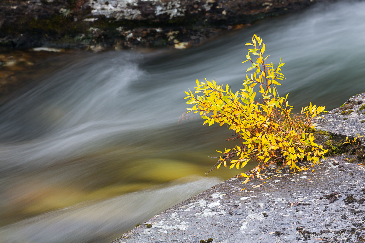 an der Store Ula, Rondane