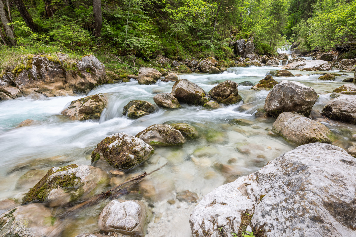 Zauberwald am Hintersee