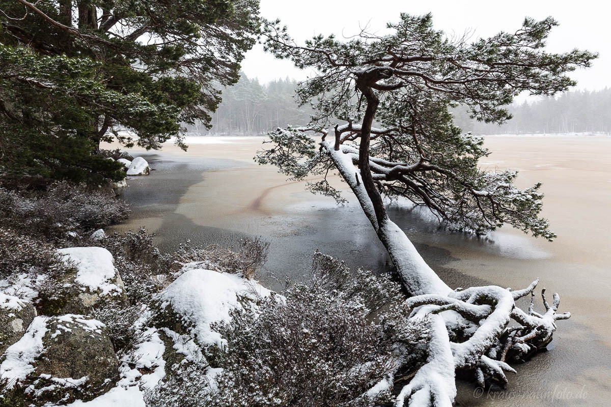 Loch Garten