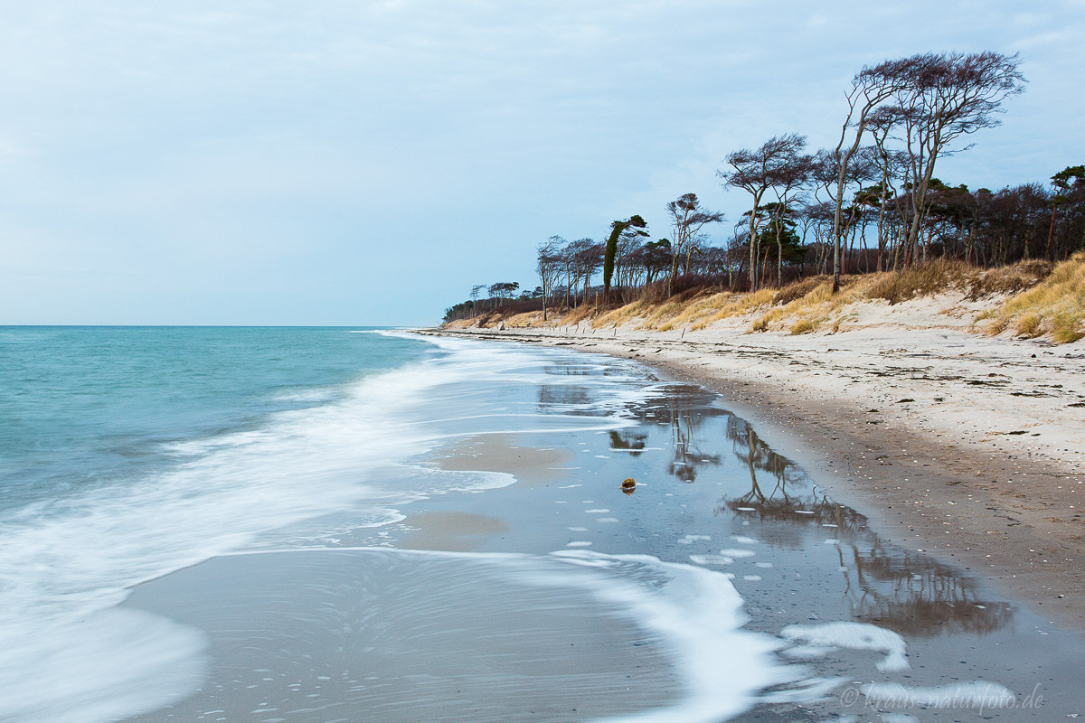 Darßer Weststrand