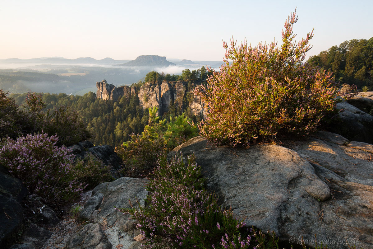 Blick auf die Bastei