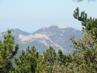 Les dentelles de Montmirail