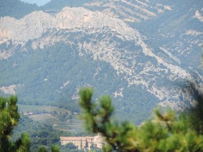 View on Les dentelles de Montmirail on your walking tour from Jas du ventoux